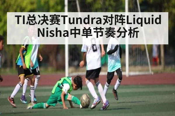 TI总决赛Tundra对阵Liquid Nisha中单节奏分析